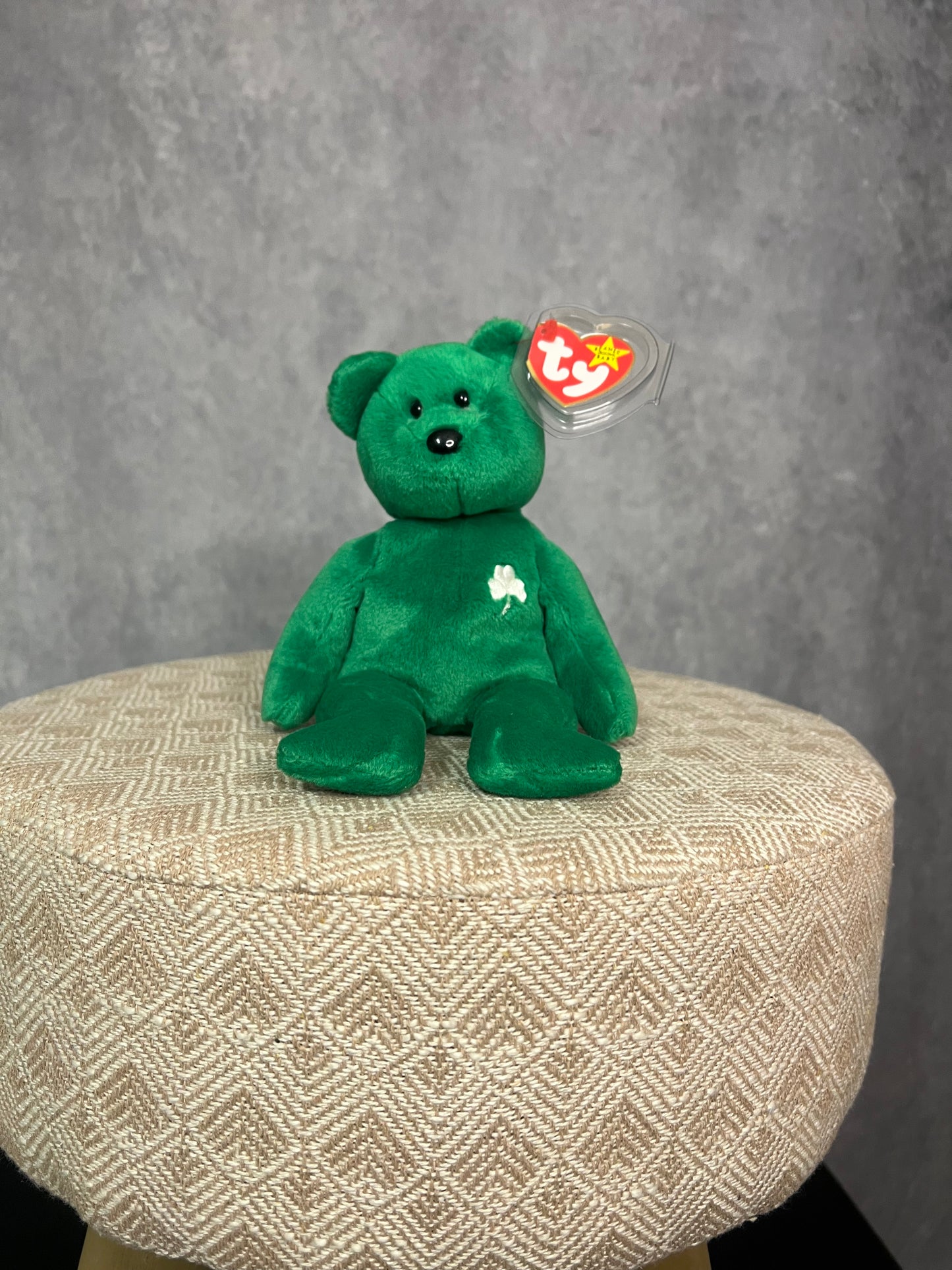 Erin the Bear (Retired)