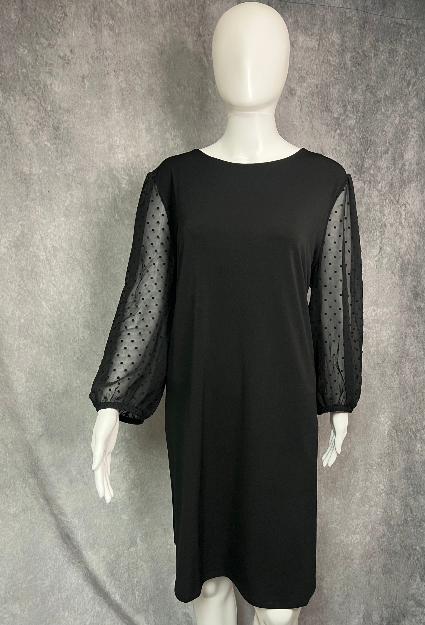 Black Dress w/ Sheer Sleeves Size XL