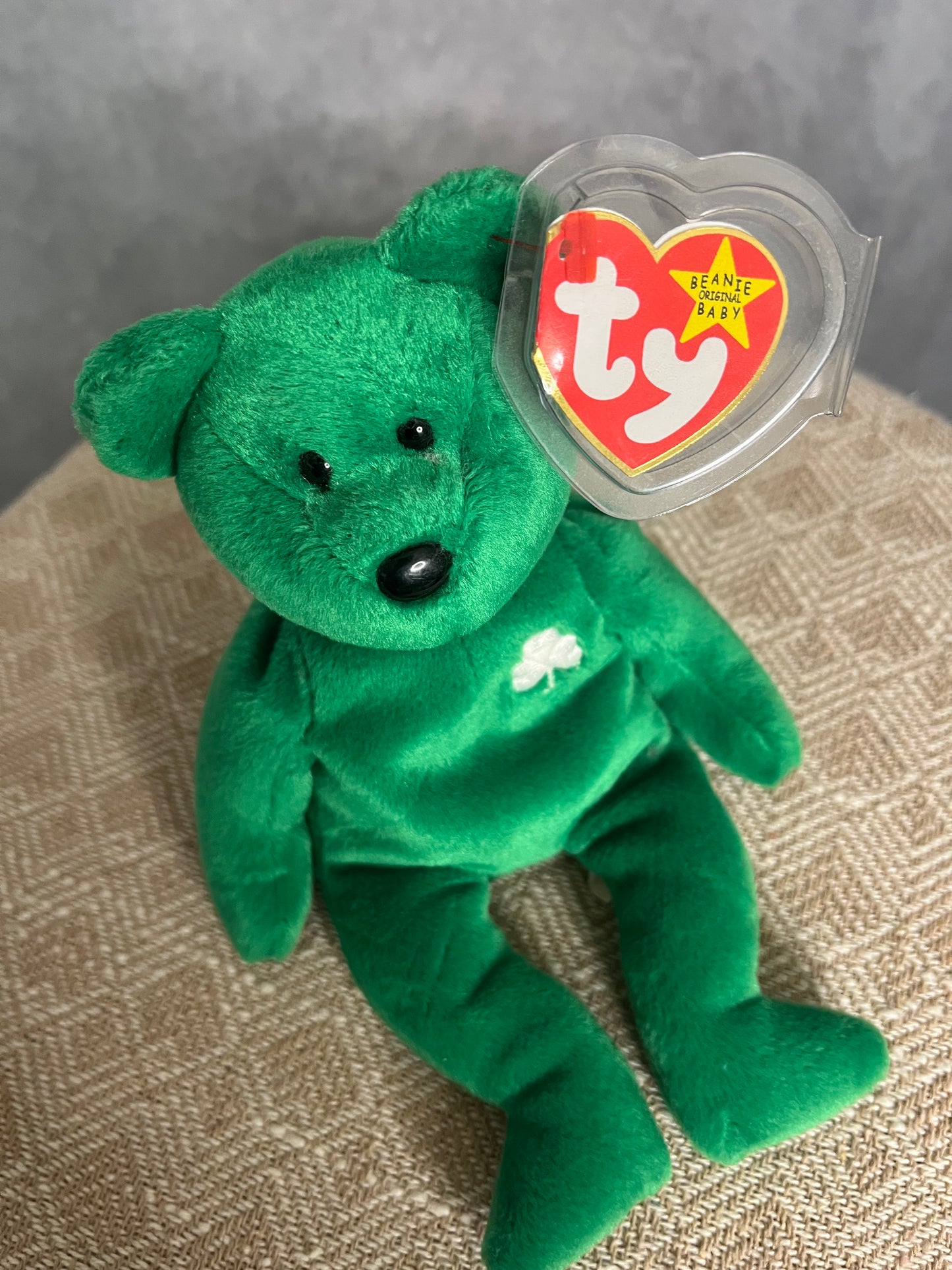 Erin the Bear (Retired)